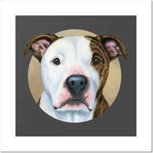 Brindle and White Pitbull Terrier Dog Posters and Art